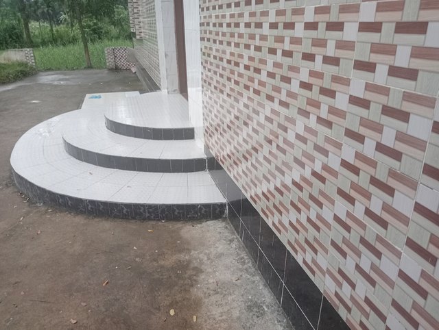1000021640.jpg