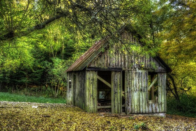 woodshed pixabay.jpg