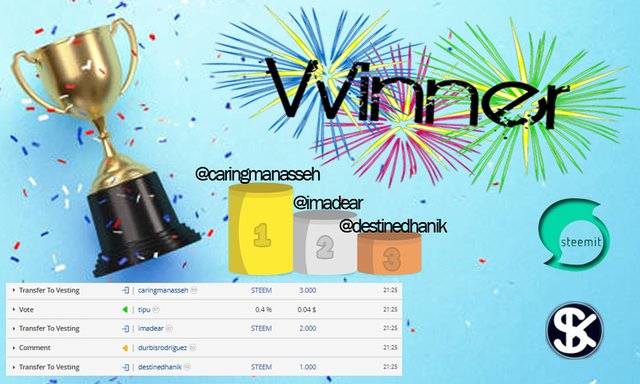 steem hobbies winner contest.jpg