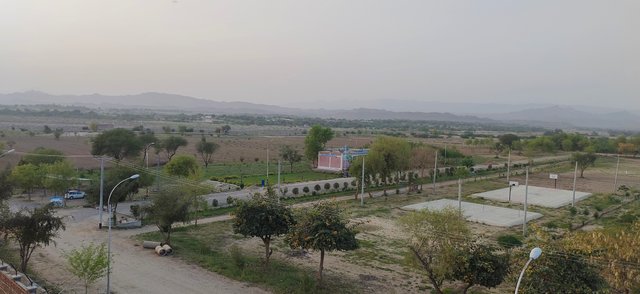 IMG_20250709_103001.jpg
