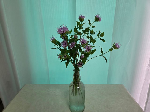 20250702_172540.jpg