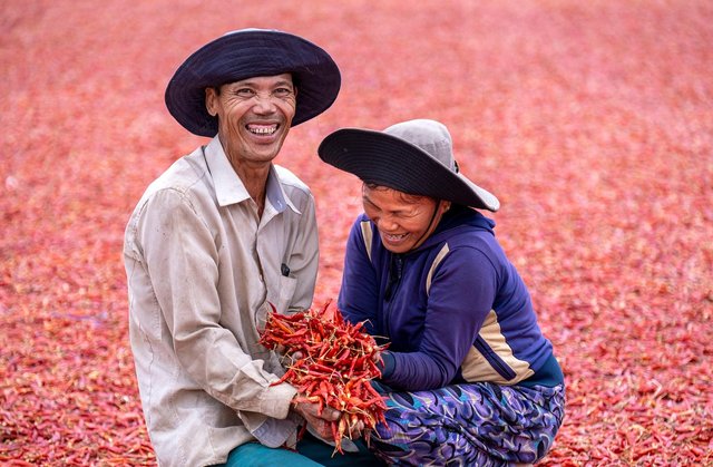 farmers-6530445_1280.jpg