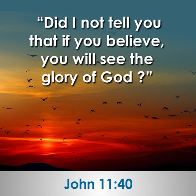 Jesus said, did not I tell you that if you believe, you will see the glory of God.jpg