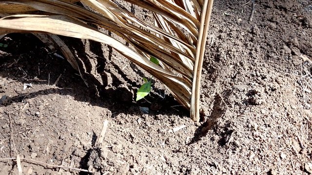 IMG_20250813_105125.jpg