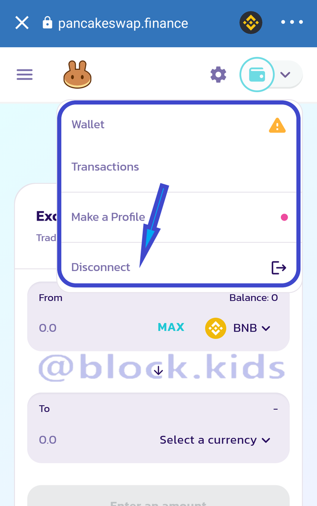 connected wallet .png