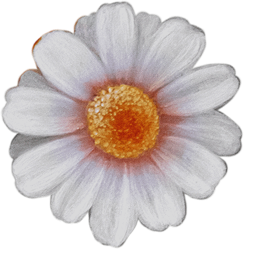 daisy.png