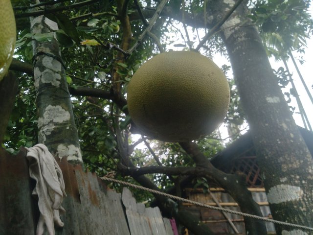 20250623_101756.jpg