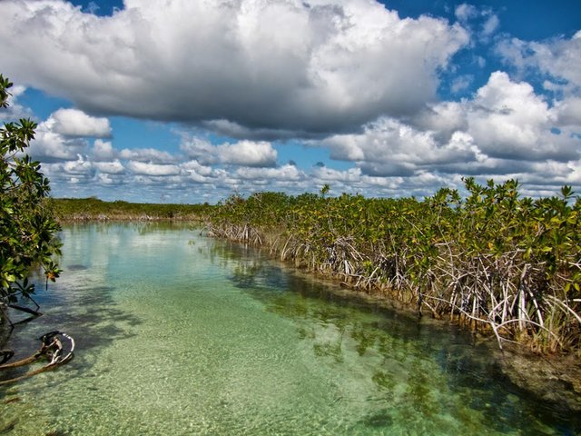 Cancún Biósfera de Sian Ka'An.jpg