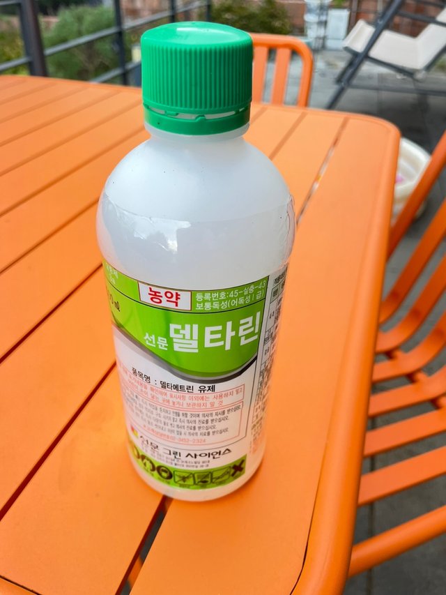 KakaoTalk_20250805_210355131_04.jpg