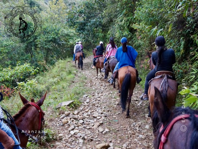 Colombian Horse Culture-6.jpg