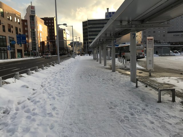 Snow Beside Hakodate Bus Interchange