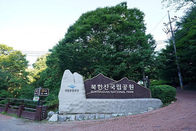 b-DSC08511.JPG