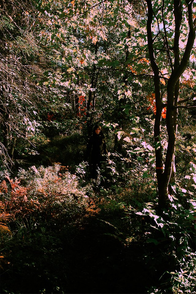 happy-forest-child.jpg