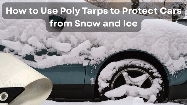 How to Use Poly Tarps to Protect Cars from Snow and Ice.jpg