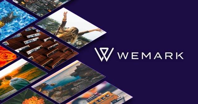 wemark-meta-logo-2017 (1).png