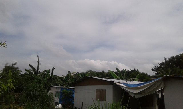 20190730_135258.jpg