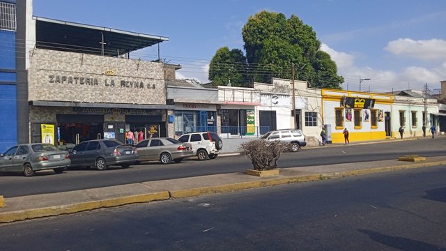 IMG_20250328_083810_1.jpg