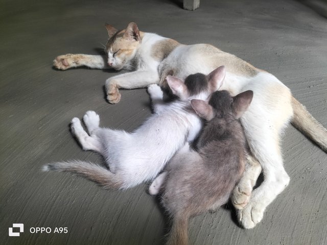 IMG20250606112333.jpg
