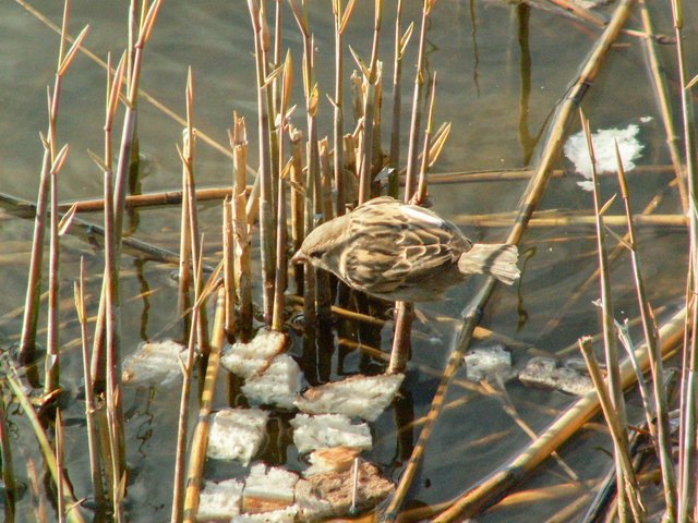 PICT0402.jpg