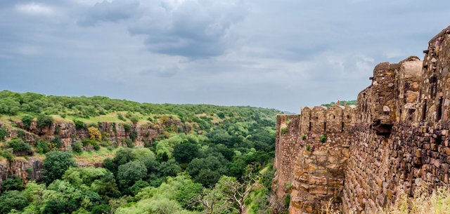 Ranthambore-National-Park-from-the-Ranthambore-Fort.jpg
