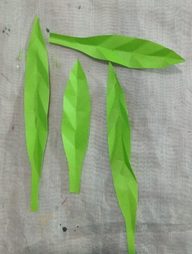 d29.jpg