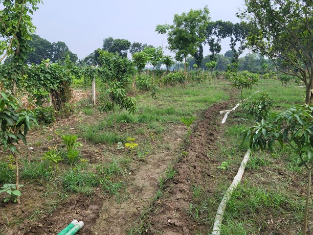 20250516_143918.jpg