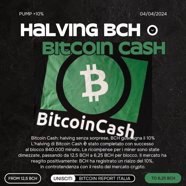 Bitcoin Cash BCH Halving  (1).jpeg