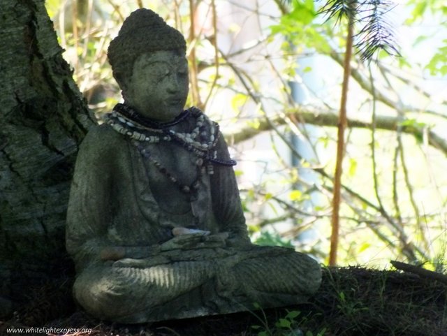 WLE-0119-Buddha.jpg