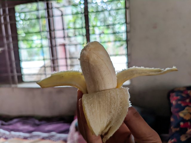 1000027127.jpg