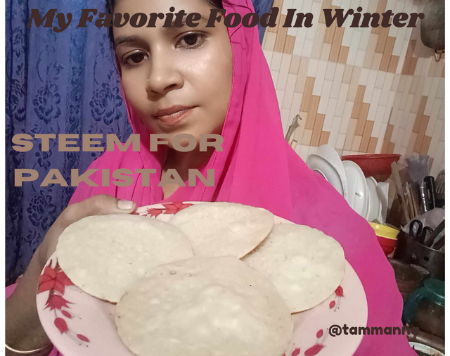 My Favorite Food In Winter.png