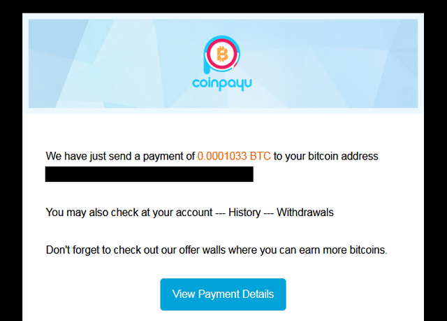 Screenshot_2020-06-25 Payment from CoinPayU com -.png