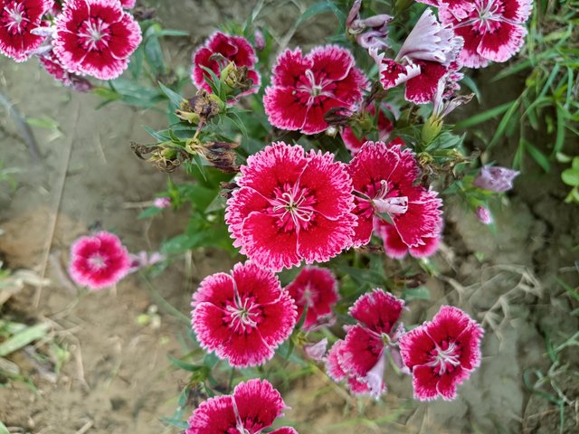 IMG20250227150044.jpg