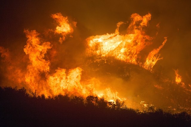 forest-fire-3905864_1280.jpg
