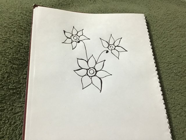 IMG_1218.jpeg