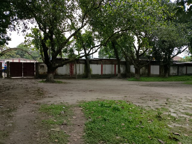 1000042160.jpg