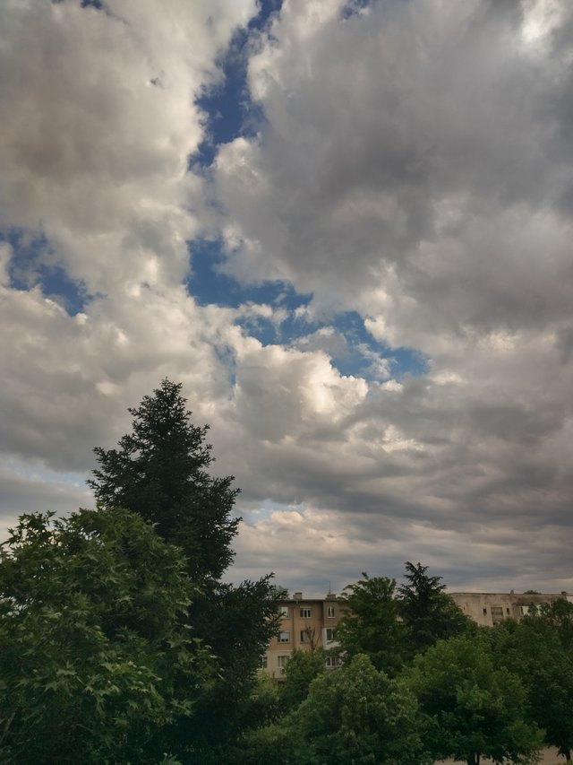 IMG_20250520_181751_HDR.jpg