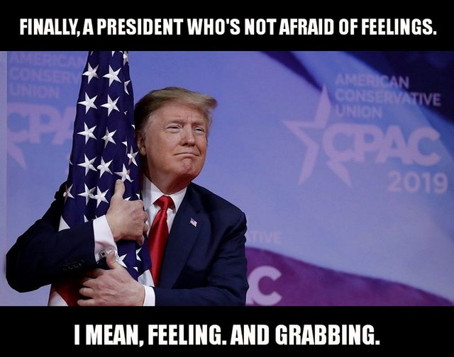 trumflag_freak_flying.jpg