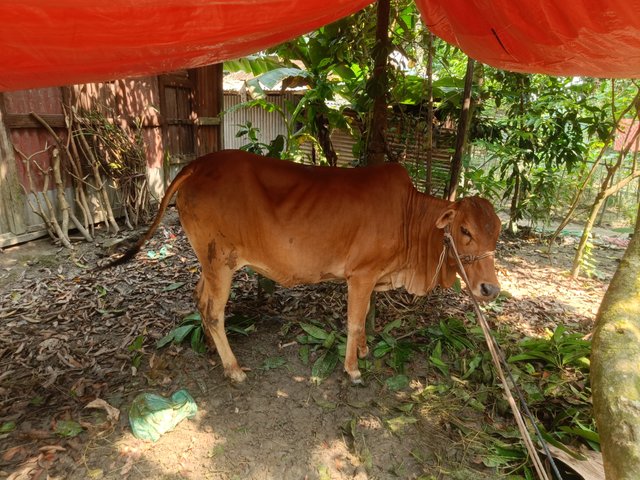 IMG20250606141823.jpg