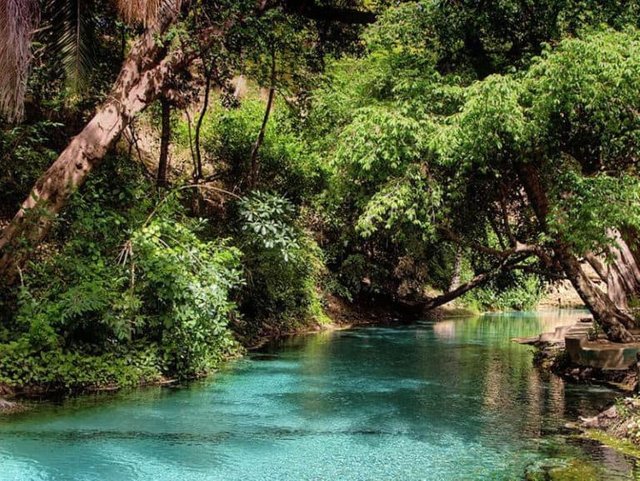 Yankari-National-Park-768x577.jpg