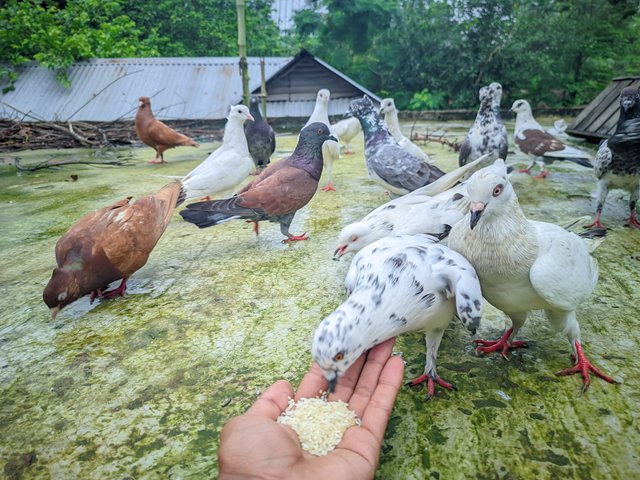 Raju20250918_110421_Vivid Human Portrait By Light Editz (1).jpg