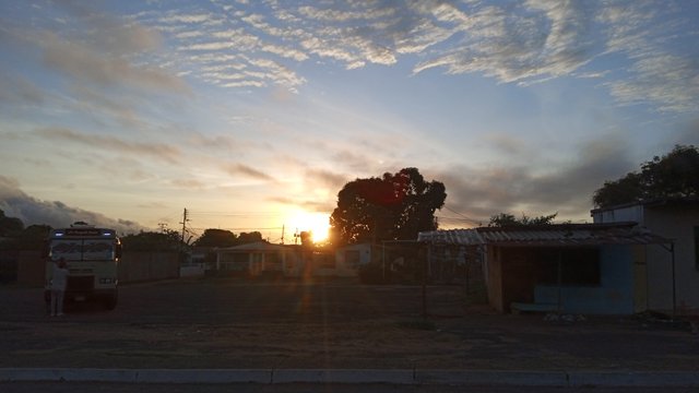 IMG_20250515_060706.jpg