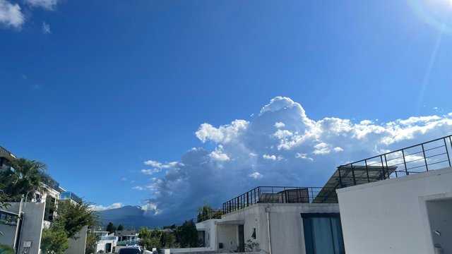 IMG_1443.jpeg