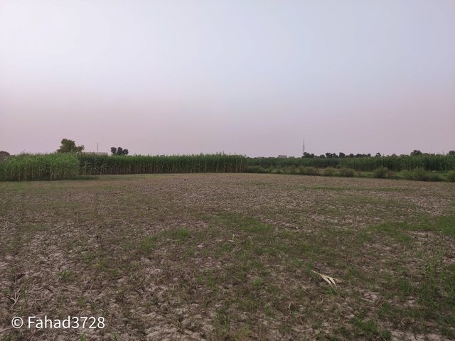 IMG_20250806_184555.jpg
