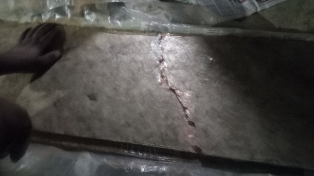 1000061347.jpg