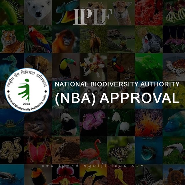 National-Biodiversity-Authority-(NBA)-Approval.jpg