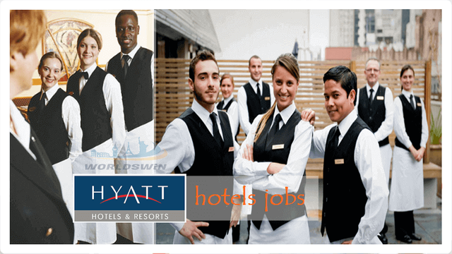 waiter and waitress jobs at hyatt hotels.PNG