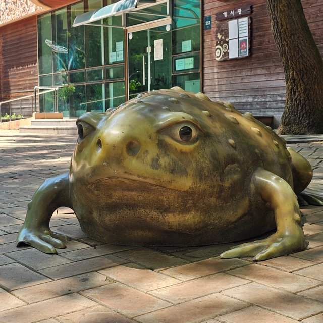 1000020377.jpg