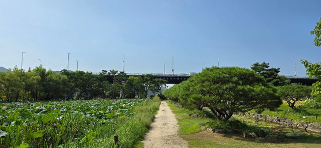 KakaoTalk_20240816_230115703_18.jpg