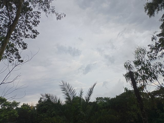 IMG20250819173037.jpg