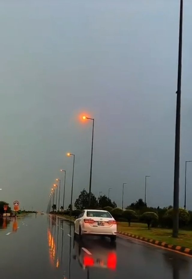 1744506498027.jpg